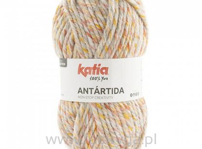 Antartida