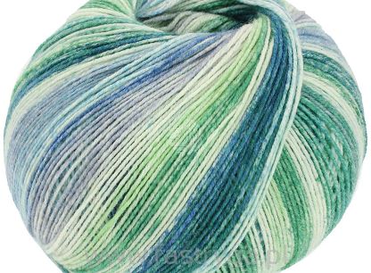 Cool Wool 4 Socks Print