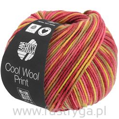 Cool Wool Print   825