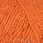 Alpaca Storm  549 - 2