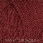 Alpaca Storm  558 - 2