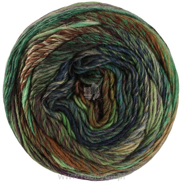 Colorissimo 216