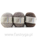 Artic 2700 avocado - 2