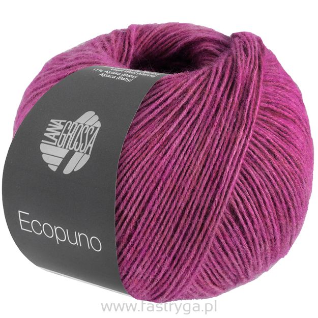 Ecopuno 209