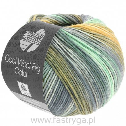 Cool Wool Big Color 4025