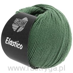 Elastico  141 zieleń pastelowa