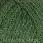 Alpaca Storm  533 - 2