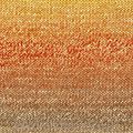 Azteca Fine Socks & Tones   22 - 2