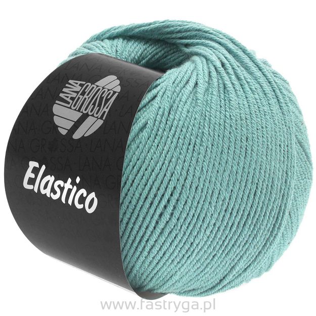 Elastico  148  lodowiec