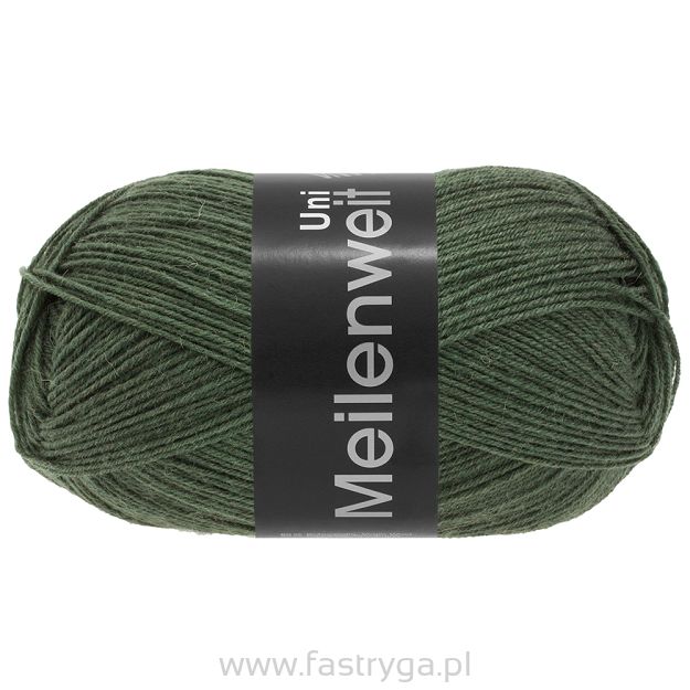 Meilenweit 100  kolor 378