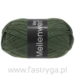 Meilenweit 100  kolor 378