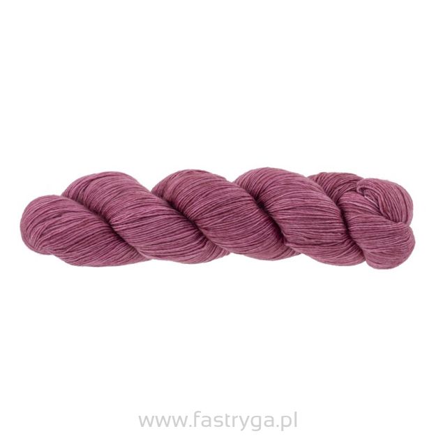 Lace  Damask Rose  130