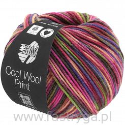 Cool Wool Print   749