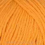 Alpaca Storm  544 - 2