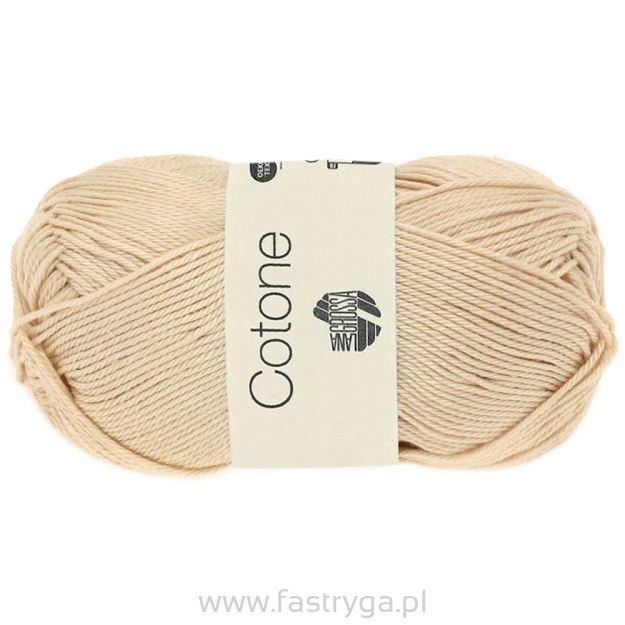 Cotone    56