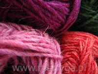 Lettlopi 1705  fuksja - 2