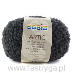 Artic 154 grafit