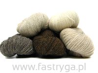 Bio Shetland  39 - 2