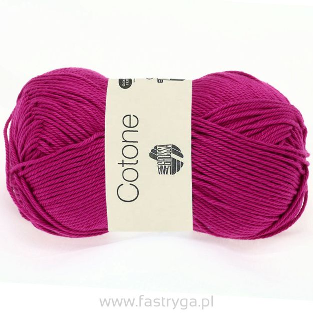 Cotone    42