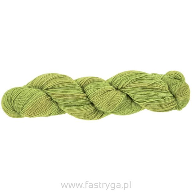 Lace  Lettuce  037