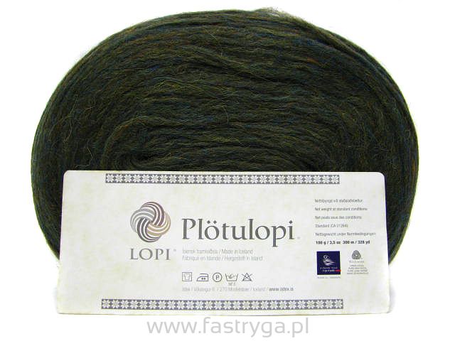  Plotulopi 1421