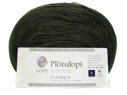  Plotulopi 1421