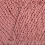 Alpaca Storm  554 - 2