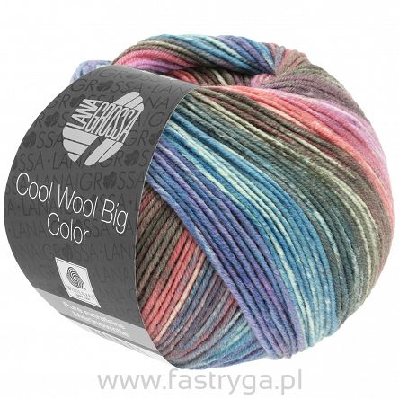 Cool Wool Big Color 4022