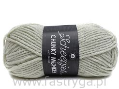 Scheepjes Chunky Monkey 2017