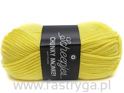 Scheepjes Chunky Monkey 1263