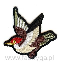 Naszywka ptak