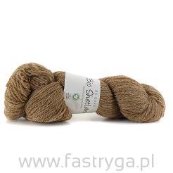 Bio Shetland  04