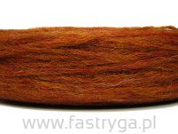 Plotulopi 1426 rudy - 2