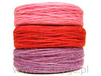 Plotulopi 1426 rudy - 17