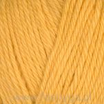 Alpaca Storm  540 - 2