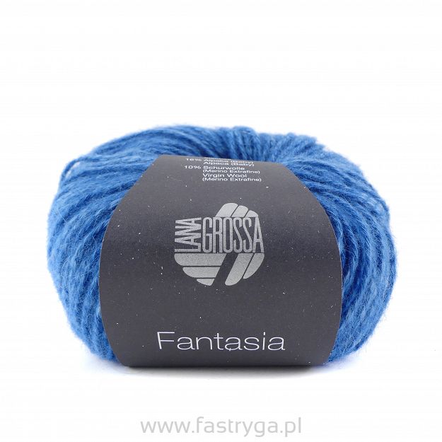 Fantasia  15