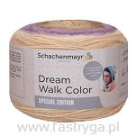 Dream Walk Color  83 - 2