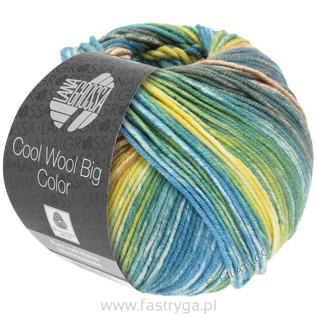 Cool Wool Big Color 4020