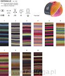 Papagallo kolor 02 - 7