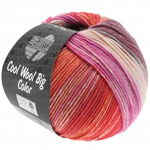 Cool Wool Big Color 4012