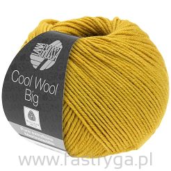 Cool Wool Big  996  kolor wycofany