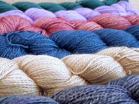 Silkpaca    Sapphire Green  004 - 3