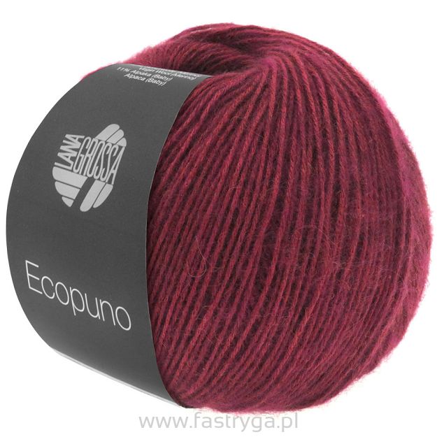 Ecopuno 035