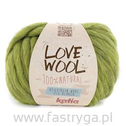 Love Wool kolor 113 zielony