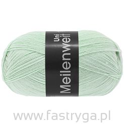 Meilenweit 100  kolor 386