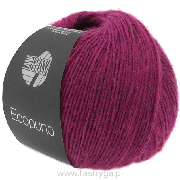 Ecopuno 022