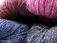  Bio Shetland 003 - 2