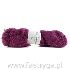 Bio Shetland   31