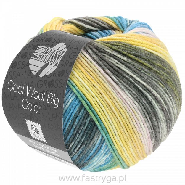 Cool Wool Big Color 4024