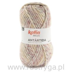 Antartida  306